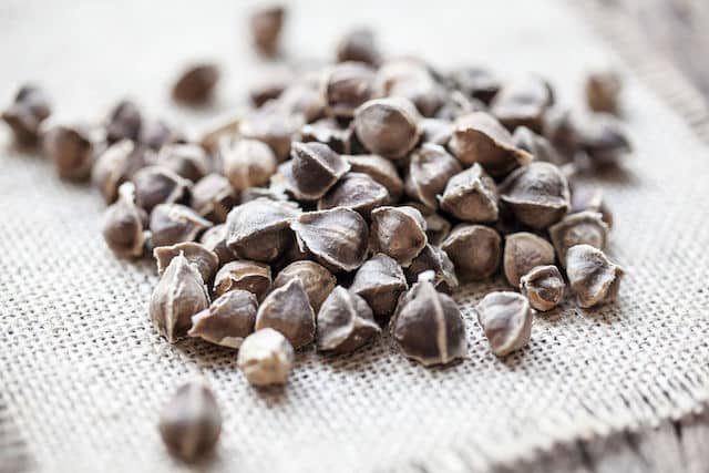 Moringa seeds