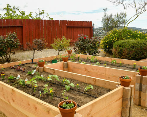 raised garden plant beds using timber framing