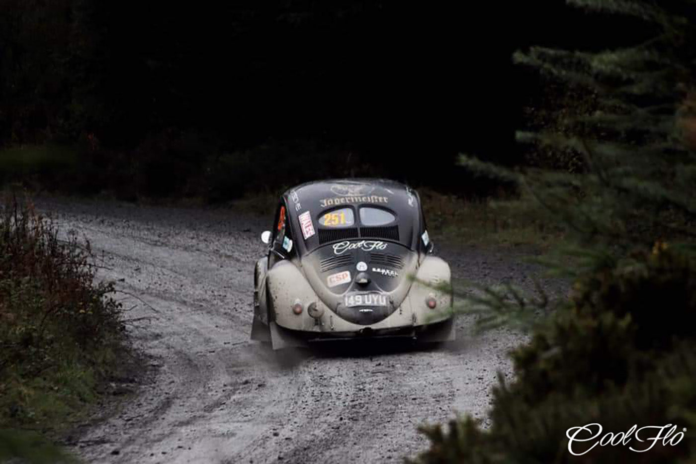 Welsh Rally GB 2018: Denzel Beetle / Cool Flo