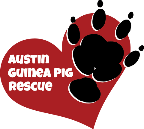 Austin Guinea Pig Rescue