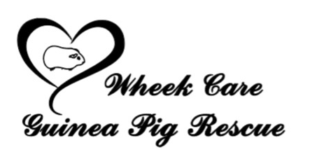 Wheek Care Guinea Pig Rescue