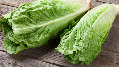 romaine lettuce to be consumed by guinea pigs