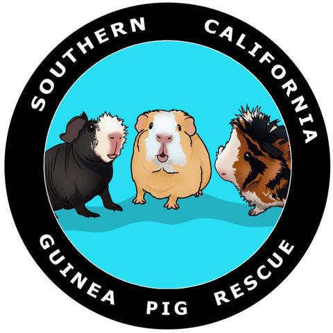 Southern California Guinea Pig Rescue