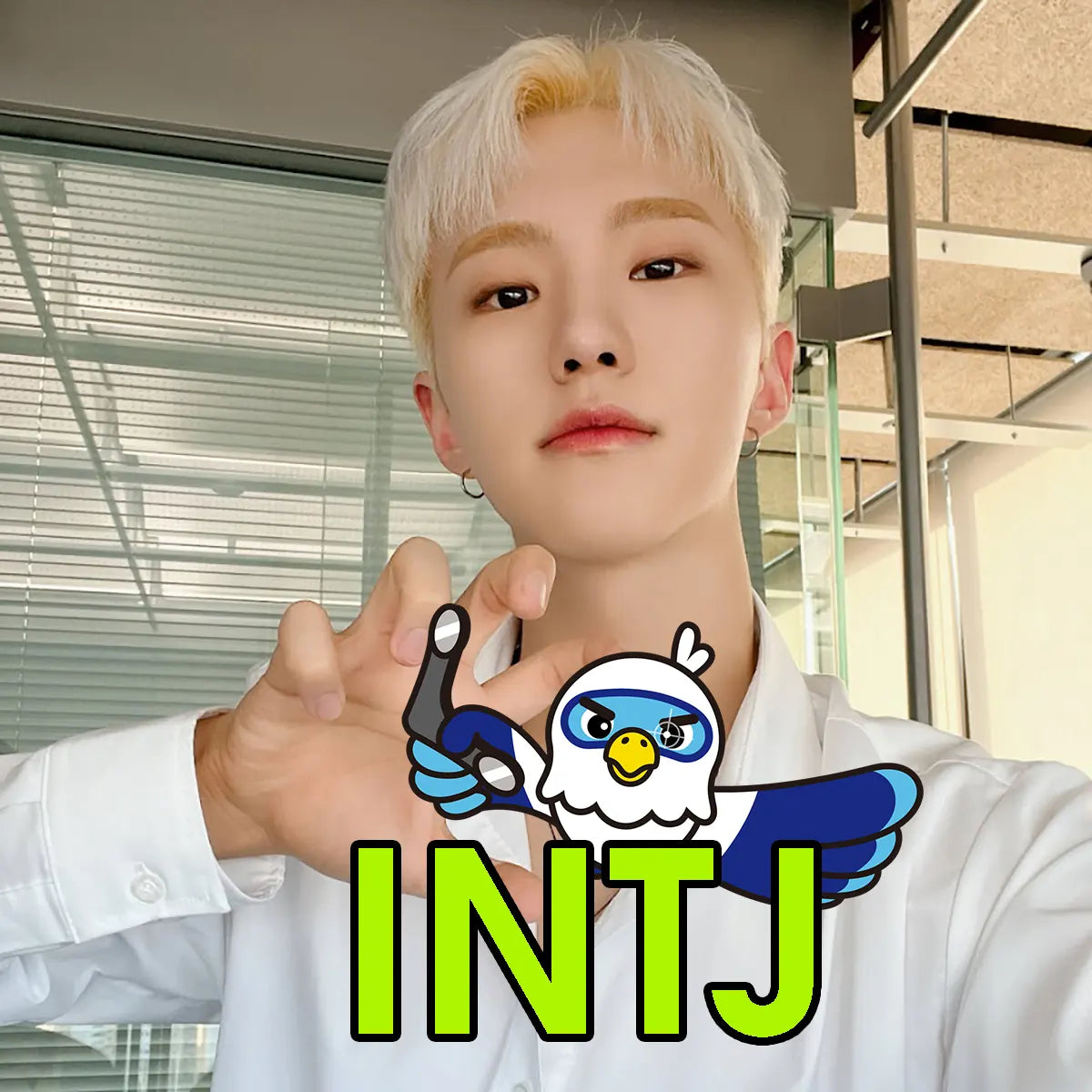 HoShi SEVENTEEN MBTI Personality Test INFP INTJ Personality Type