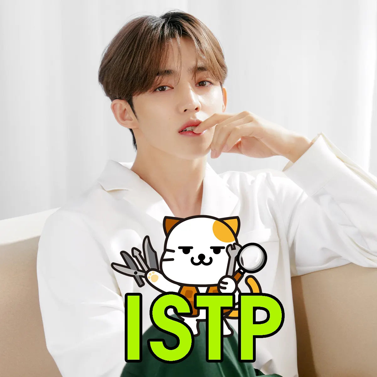 SCoups SEVENTEEN MBTI Personality Test INFP ISTP Personality Type