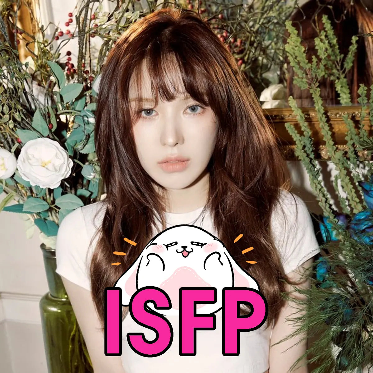 Wendy Red Velvet MBTI Personality Type ISFP Personality Mellow