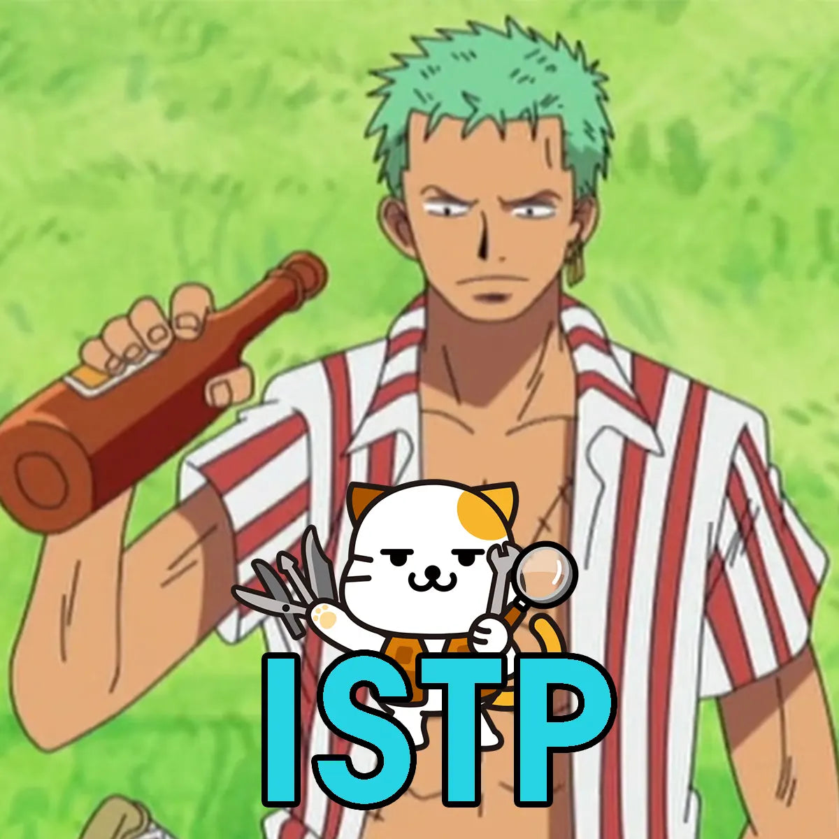 Roronoa Zoro Mackenyu One Piece Netflix Anime MBTI Personality Type