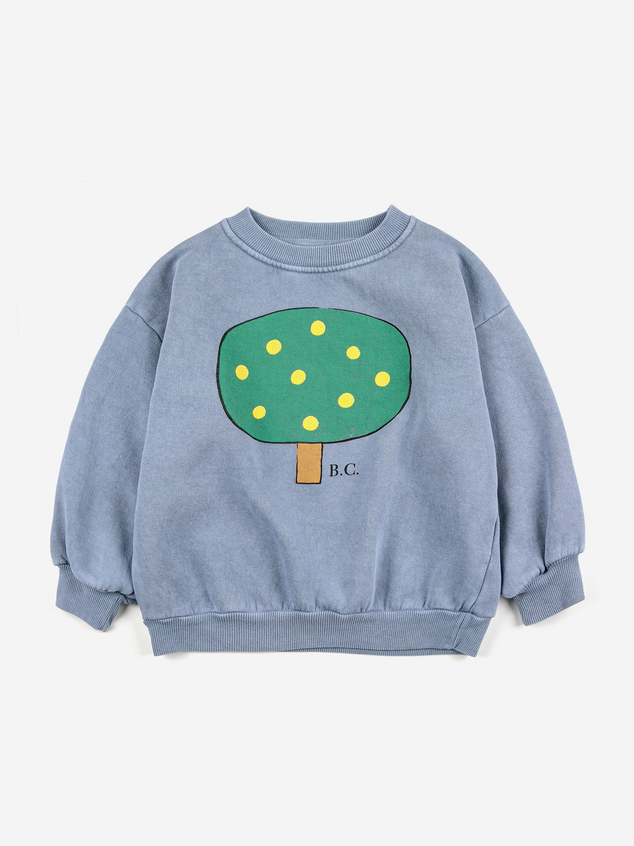 Baby Crazy Bicy all over sweatshirt – Bobo Choses