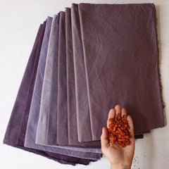 Logwood violet natural dyes