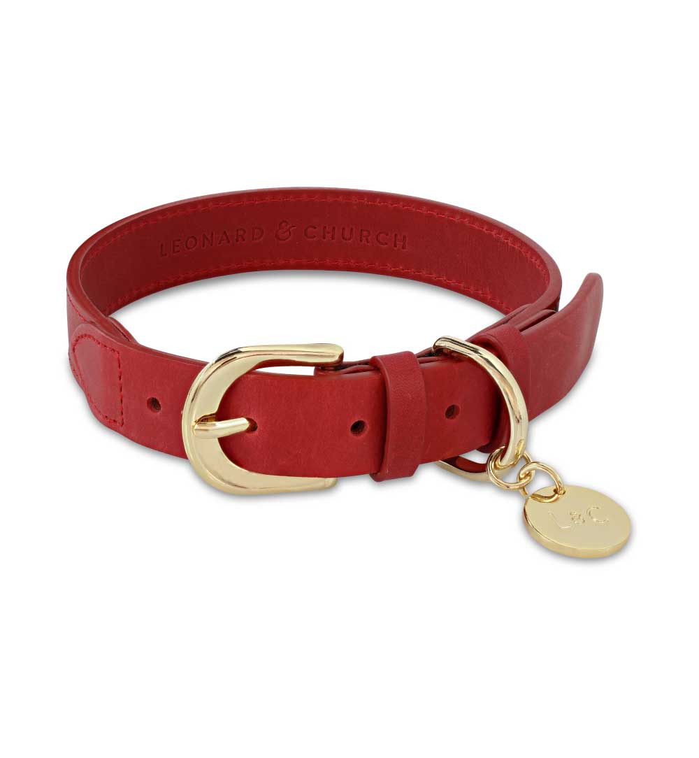 red dog collar