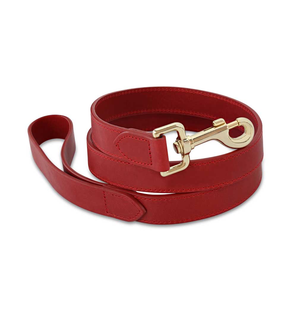 red leather leash