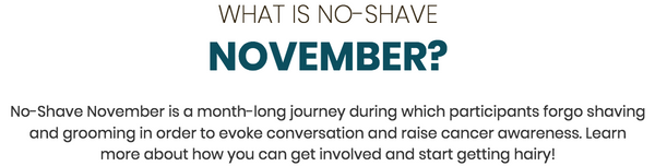 No-Shave.org, No Shave, November, Cause, Charity, Donate