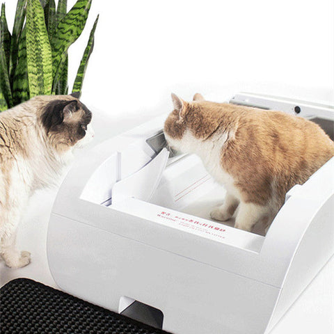 Unlocking Convenience: The Benefits of Electric Cat Litter for Busy Pet Owners