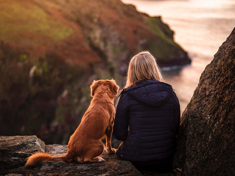Traveling with Dogs: 3 Outdoor Vacation Ideas Your Pet Will Love | Bagaton