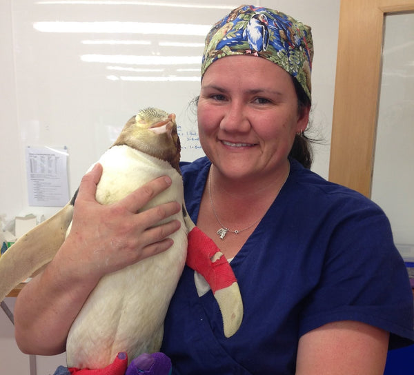 Dunedin Wildlife Hospital