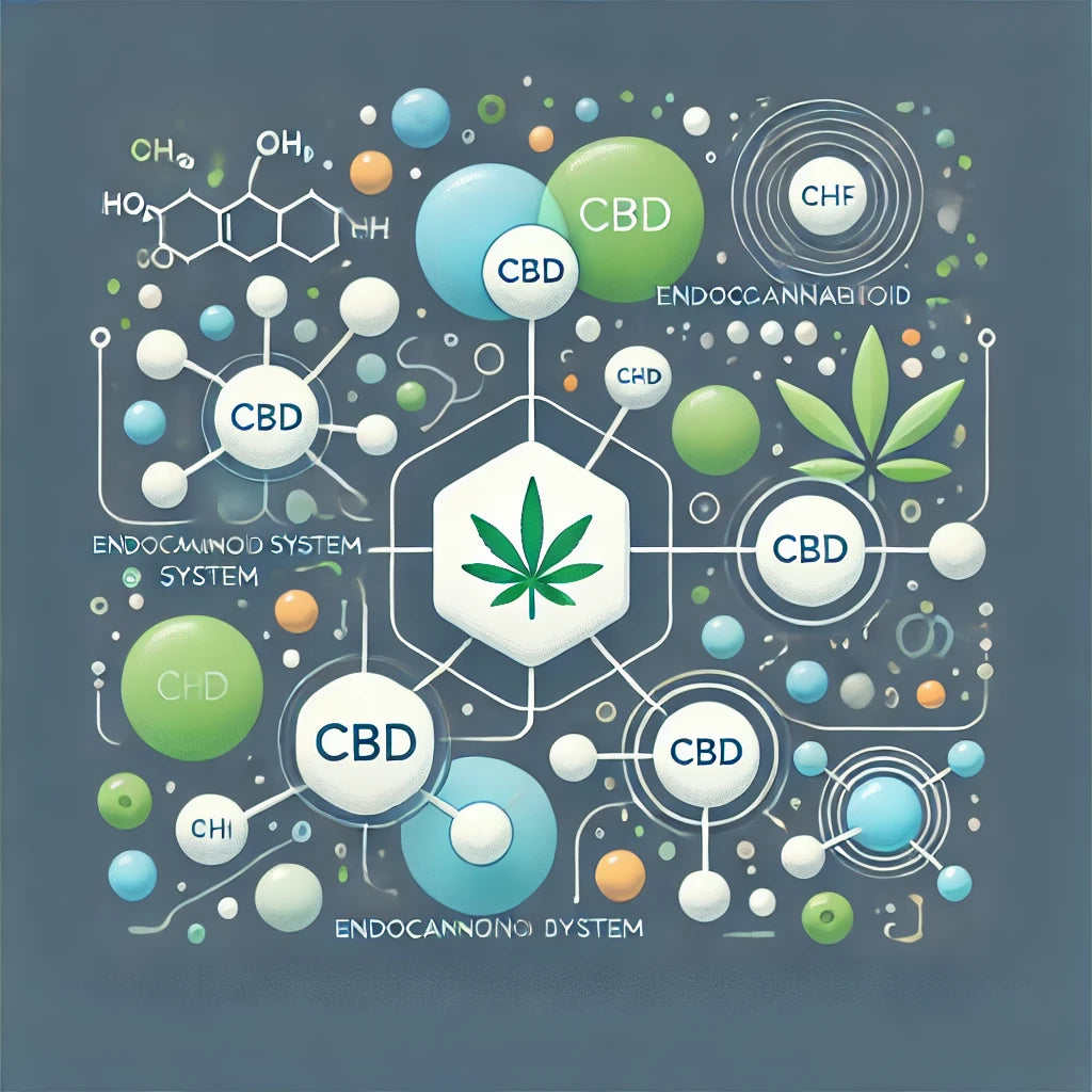 The endocannabinoid system via surgeonsolution.io