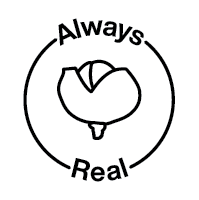 icon of always real