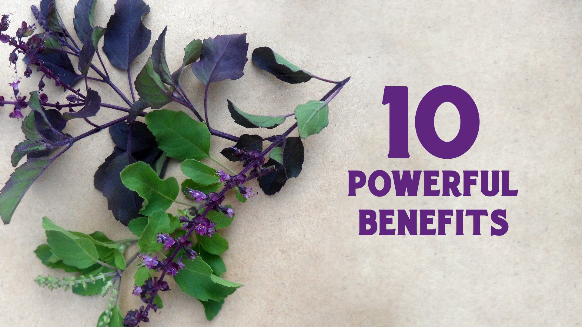 7 Awesome Benefits of Dried Flowers