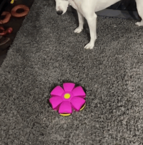 粉色 AstroPaw 飞碟球狗玩具