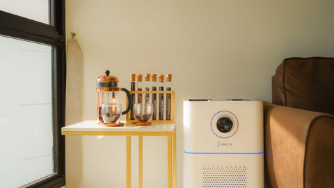 Speco Ion Air Purifier at Home