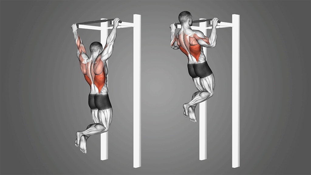 How To Do A Chin-Up  Muscles Worked And Benefits