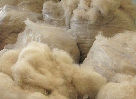 The image shows transparent bags filled with Cashmere fibers. The fibers are likely to be used to create Pashmina shawls and other garments. The bags are arranged neatly, and the transparency of the material allows the Cashmere fibers to be visible.