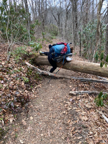 Hiker climbing over a fallen tree