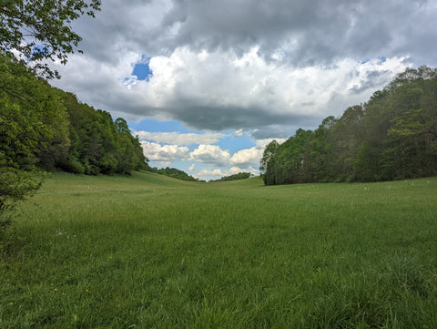 Virginia Valleys