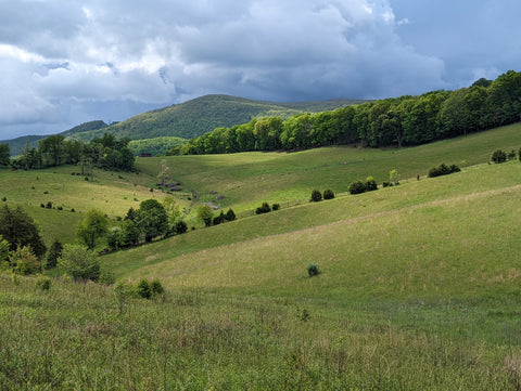 Valleys in Virginia