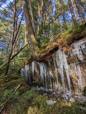 Roan High Knob icicles