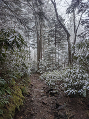 Snow in the Smokies