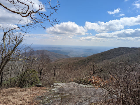 View from Tray Mountain