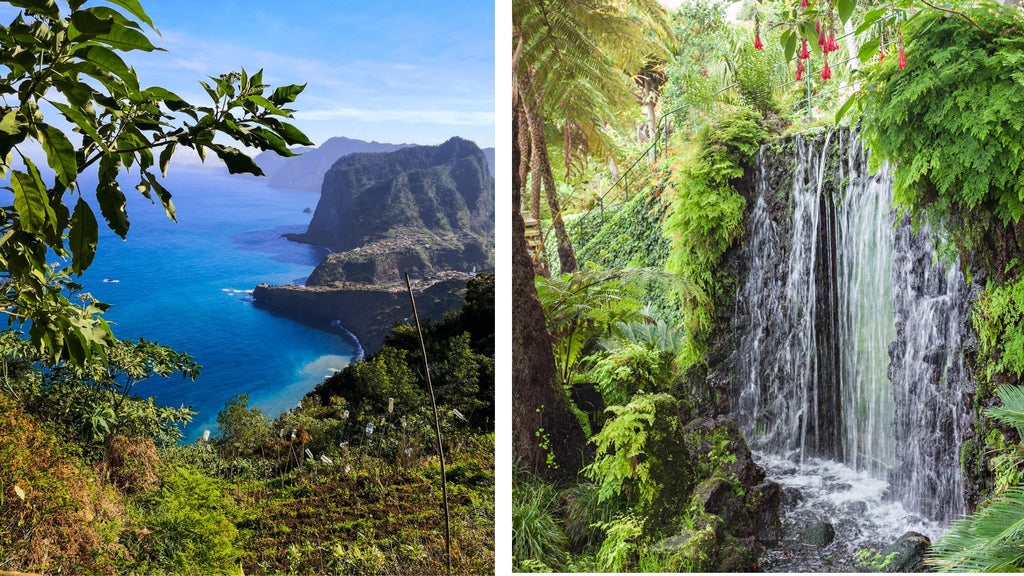 Madeira natuur