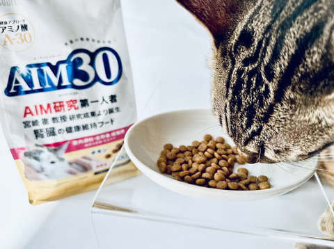 AIM30のご飯と猫の写真