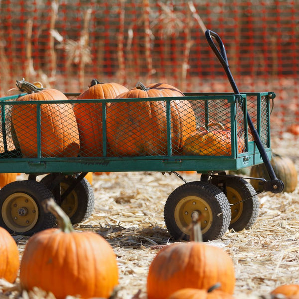 Writing Halloween stories can be a family tradition just like the pumpkin patch