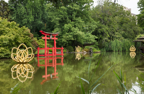 Gold Lotus Photo by Guillaume Ziccarelli