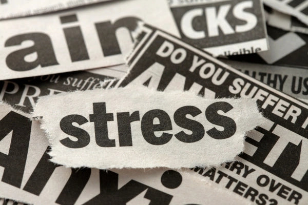 Stress written on a piece of paper.