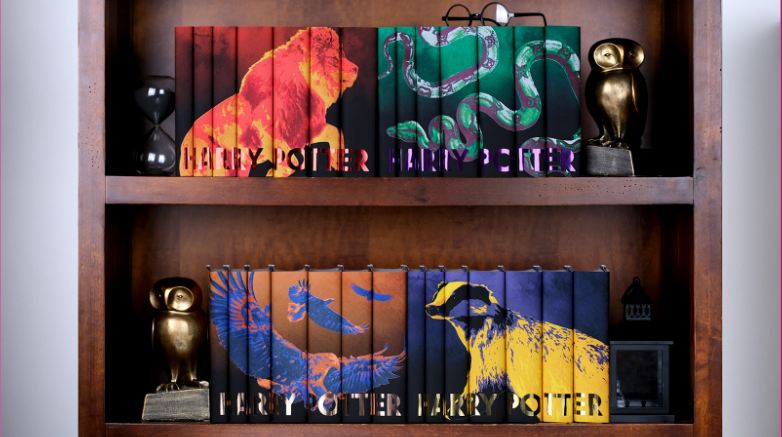 Styled Bookshelves with Harry Potter Mascot Book Sets