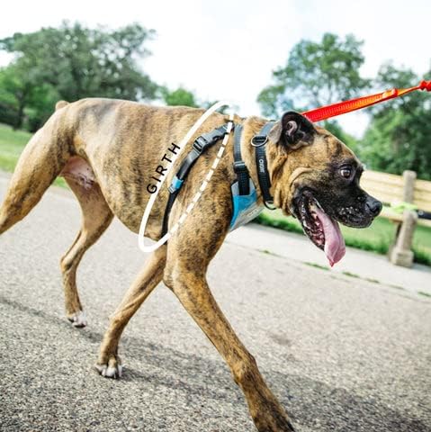 Dog Harness Large Dog No Pull Pet Harness with 2 Leash Clips, Adjustable Soft Padded Pet Vest Harness, Reflective No-Choke with Easy Control Handle for Training or Walking