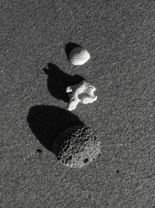 Magnetic Island beach stones