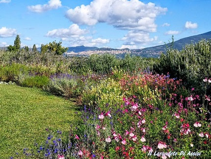 Assisi October events, Umbria October events