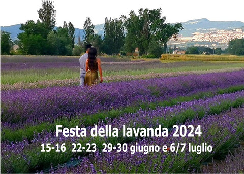 Festa della lavanda 2024