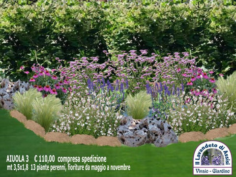 Aiuole fai da te immagini, aiuole davanti casa, aiuole economiche fai da te, progetti piccoli giardini, aiuole davanti casa, kit piante per aiuole, vendita piante online,  bordure di piante perenni, piante per bordure