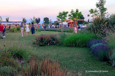 Cosa visitare ad Assisi, giardini e parchi da visitare in Umbria