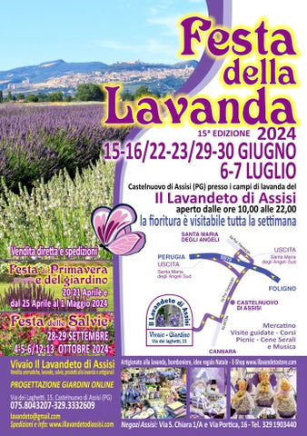 Festa della lavanda. Festa della lavanda 2024, Festa della lavanda in Italia, Festa della lavanda Assisi