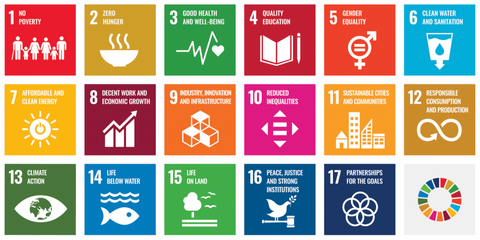 UN SDGS Skylos