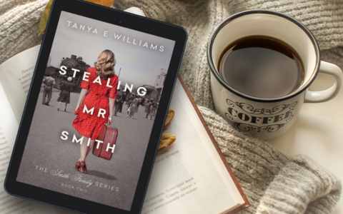 Stealing Mr. Smith eBook by Tanya E Williams