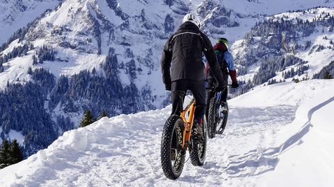 snow ebike