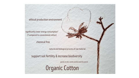 organic cotton benefits