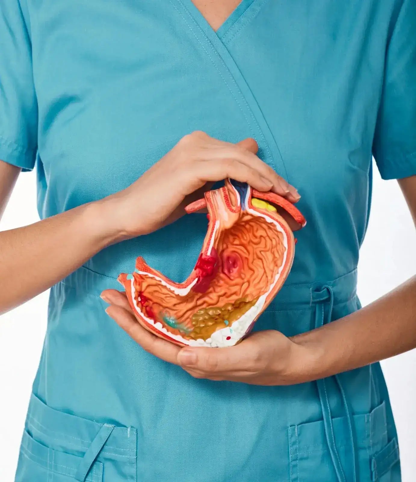 Support Healthy Digestion